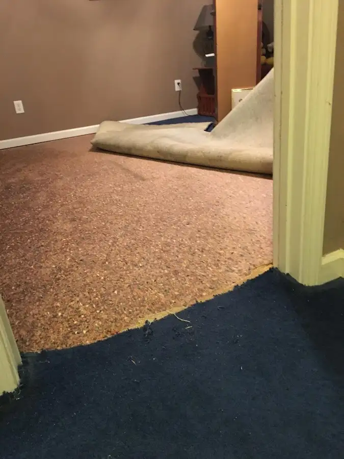 Carpet pad removal revealing water damage during Water Mitigation Services in Timonium